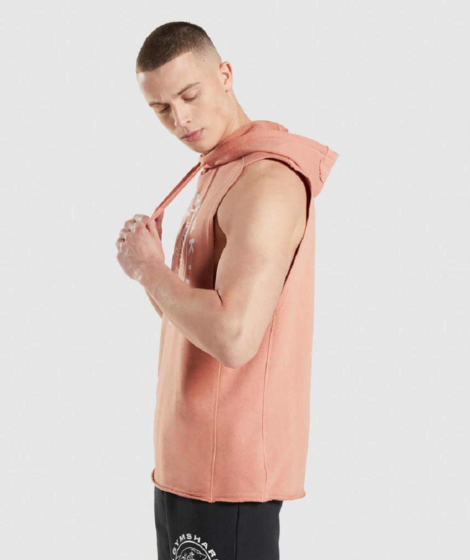 Sudadera Con Capucha Gymshark Legacy Drop Arm Hombre Rosas | CO 3634GSO